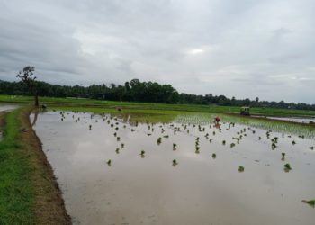 ആശ്വാസം നൽകുന്നുണ്ടെങ്കിലും ആശങ്കയൊഴിയാതെ……