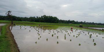 ആശ്വാസം നൽകുന്നുണ്ടെങ്കിലും ആശങ്കയൊഴിയാതെ……