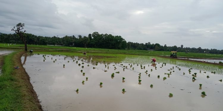 ആശ്വാസം നൽകുന്നുണ്ടെങ്കിലും ആശങ്കയൊഴിയാതെ……