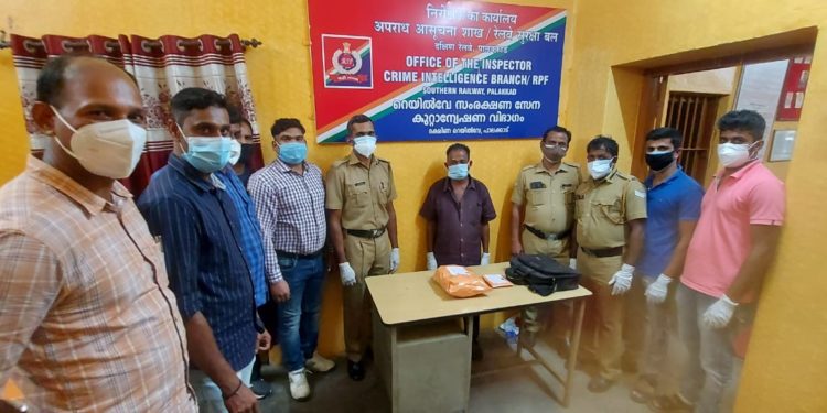 ഒലവക്കോട് റെയിൽവേ സ്റ്റേഷനിൽ നിന്ന്1.300kg കഞ്ചാവ് പിടികൂടി