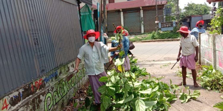 ഒറ്റപ്പാലം മുനിസിപ്പാലിറ്റി ഇരുപത്തിനാലാം വാർഡിൽ ശുചീകരണം നടത്തി സി.പി.ഐ