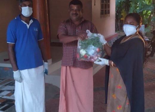 പച്ചക്കറി കിറ്റുകൾ വിതരണം ചെയ്തു