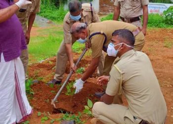ഫലവൃക്ഷ തൈകൾ നട്ടു പരിസ്ഥിതി ദിനം ആചരിച്ചു