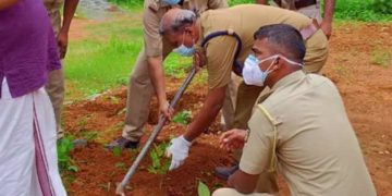 ഫലവൃക്ഷ തൈകൾ നട്ടു പരിസ്ഥിതി ദിനം ആചരിച്ചു