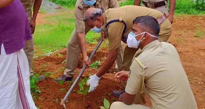 ഫലവൃക്ഷ തൈകൾ നട്ടു പരിസ്ഥിതി ദിനം ആചരിച്ചു