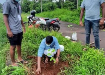 ഡിവൈഎഫ്ഐ വൃക്ഷത്തൈ നട്ടു