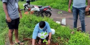 ഡിവൈഎഫ്ഐ വൃക്ഷത്തൈ നട്ടു