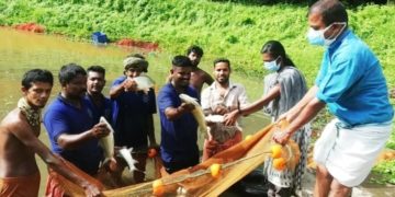 എരിമയൂരിൽ  മത്സൃ കൃഷി വിളവെടുപ്പ്