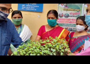 പച്ചക്കറി തൈകളുടെ വിതരണോദ്ഘാടനം  നടത്തി