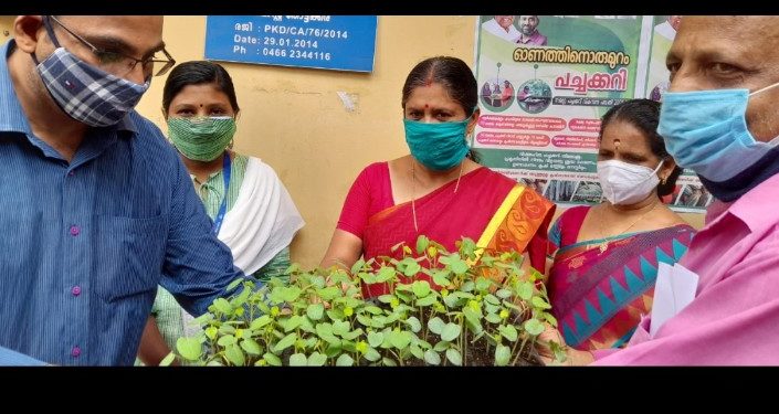 പച്ചക്കറി തൈകളുടെ വിതരണോദ്ഘാടനം  നടത്തി
