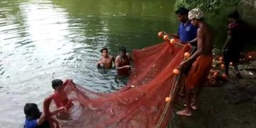 ജനകീയ മത്സ്യകൃഷി വിളവെടുപ്പ് നടത്തി