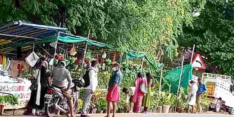 ലോക്ഡൗൺ  ഇളവുകളും വഴിയോരക്കച്ചവടവും