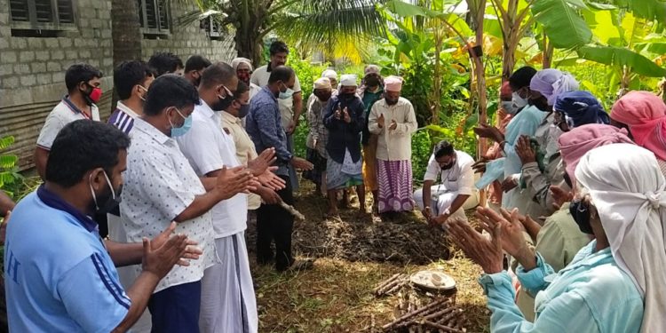 ജനകീയ കപ്പകൃഷിക്ക് 32-ാം വാർഡിൽ തുടക്കമായി
