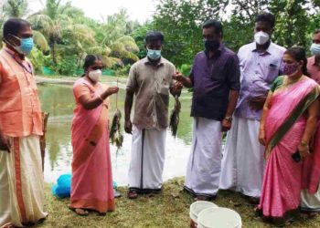 ജനകീയ മത്സ്യകൃഷി വിളവെടുപ്പ്  നടത്തി