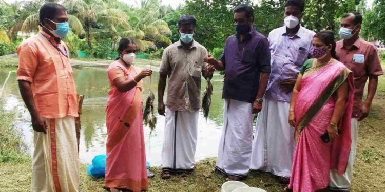 ജനകീയ മത്സ്യകൃഷി വിളവെടുപ്പ്  നടത്തി