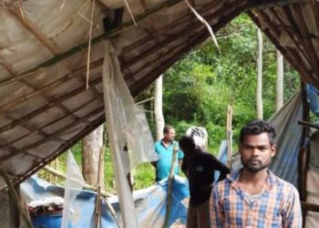 കാട്ടാനയുടെ ആക്രമണത്തിൽ നിന്ന് യുവാവ് രക്ഷപ്പെട്ടത് തലനാരിഴയ്ക്ക്