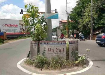 ഡ്രൈവർമാരുടെ കാഴ്ച്ച മറയ്ക്കുന്ന ആൽമരം പറിച്ചു മാറ്റണം