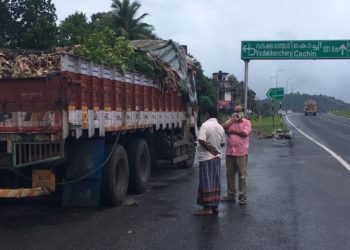 വടക്കഞ്ചേരിയിൽ വൻ കഞ്ചാവ് വേട്ട: ലോറിയിൽ  60 കിലോ  കഞ്ചാവ്