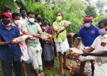 ശാസ്ത്രീയ മത്സ്യകൃഷി വിളവെടുപ്പ് നടത്തി