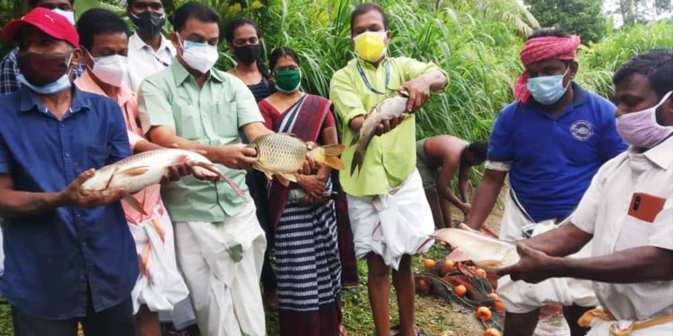 ശാസ്ത്രീയ മത്സ്യകൃഷി വിളവെടുപ്പ് നടത്തി