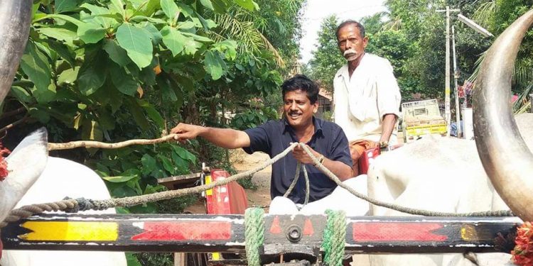 പെട്രോൾ -ഡീസൽ വിലവർധന :കാളവണ്ടി ഓടിച്ച് പ്രതിക്ഷേധം