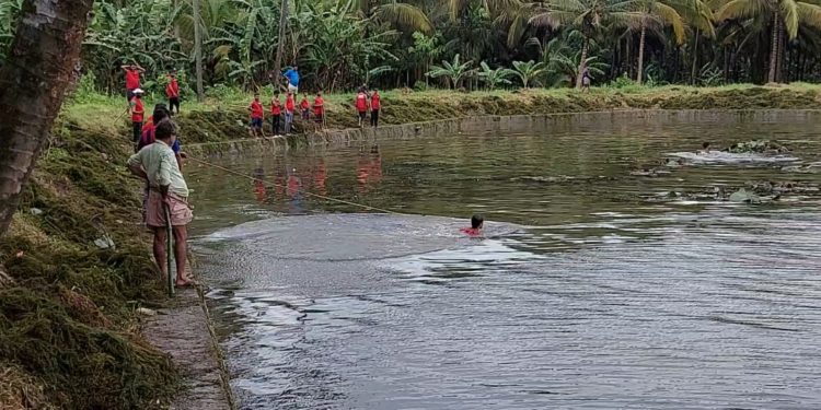 താലൂക്കിലെ ഏറ്റവും വലിയ കുളം ശുചിയാക്കി