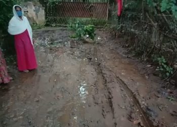 മുതലമട പാറമേട്ടിലേക്കുള്ള നടപ്പാത വാഗ്ദാനത്തിലൊതുങ്ങി