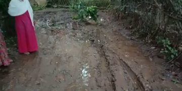 മുതലമട പാറമേട്ടിലേക്കുള്ള നടപ്പാത വാഗ്ദാനത്തിലൊതുങ്ങി