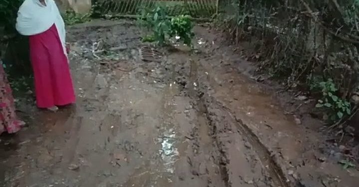 മുതലമട പാറമേട്ടിലേക്കുള്ള നടപ്പാത വാഗ്ദാനത്തിലൊതുങ്ങി