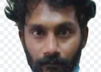 കഞ്ചാവുമായി കൊപ്പത്ത് യുവാവ് പിടിയിൽ