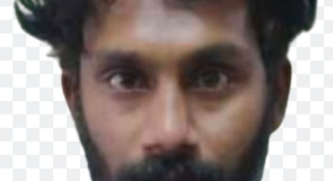 കഞ്ചാവുമായി കൊപ്പത്ത് യുവാവ് പിടിയിൽ