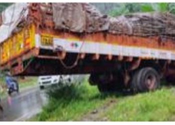 പോ​ത്തു​ക​ളു​മാ​യി വ​ന്ന ലോ​റി മ​റി​ഞ്ഞു, ര​ണ്ടു പോ​ത്തു​ക​ൾ ച​ത്തു.