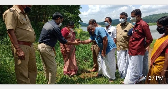 വന മഹോത്സവം നിള തീരത്ത് മുള തൈകൾ നട്ടു