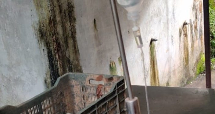 മനുഷ്യരോട് മാത്രമല്ല മൃഗങ്ങളോടും സ്നേഹം കാണിച്ച് മണ്ണാർക്കാട്ടെ സാമൂഹ്യ പ്രവർത്തകർ