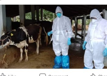 ആന്ത്രാക്സ്: പ്രതിരോധ കുത്തിവെപ്പ് ഊർജിതമാക്കി