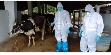 ആന്ത്രാക്സ്: പ്രതിരോധ കുത്തിവെപ്പ് ഊർജിതമാക്കി