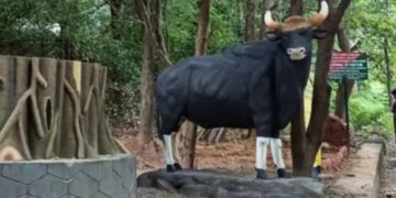 പോ​ത്തു​ണ്ടി​യി​ൽ സം​യോ​ജി​ത ചെ​ക്ക്പോ​സ്റ്റ് വ​രു​ന്നു