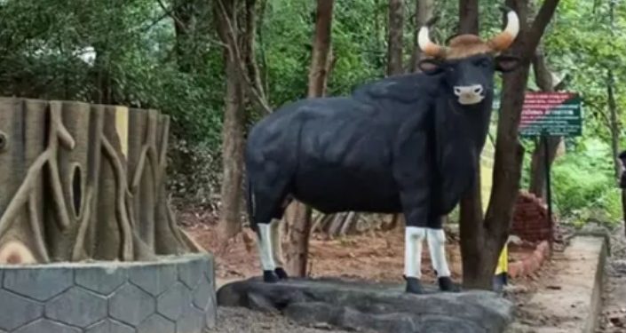 പോത്തുണ്ടിയിൽ സംയോജിത ചെക്ക്പോസ്റ്റ് വരുന്നു