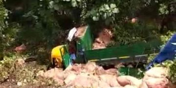 നൊട്ടമലയിൽ ചരക്ക് ലോറി താഴേക്ക് പതിച്ചു