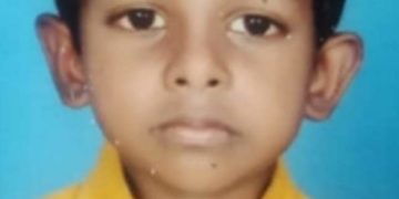 അച്ഛനൊപ്പം വിറക് ശേഖരിക്കാൻ പോയ അഞ്ചു വയസുകാരൻ കടന്നൽ കുത്തേറ്റ്  മരിച്ചു