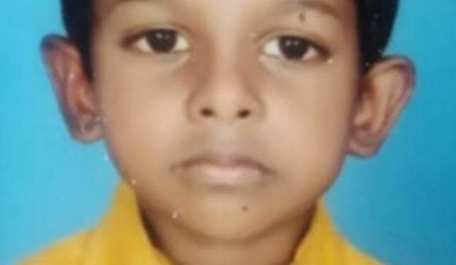 അച്ഛനൊപ്പം വിറക് ശേഖരിക്കാൻ പോയ അഞ്ചു വയസുകാരൻ കടന്നൽ കുത്തേറ്റ്  മരിച്ചു