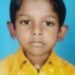 അച്ഛനൊപ്പം വിറക് ശേഖരിക്കാൻ പോയ അഞ്ചു വയസുകാരൻ കടന്നൽ കുത്തേറ്റ്  മരിച്ചു