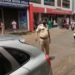 നഗരത്തിലെ അനധീകൃത പാർക്കിങ്ങ് പിടികൂടി.