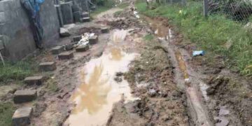 മഴക്കാലമായതോടെ ചെളിക്കുളമായി പിലാത്തുർമേട് ദയാ നഗർ റോഡ്.