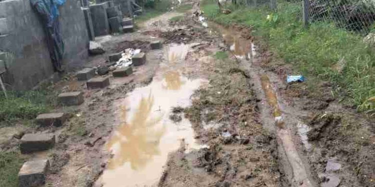 മഴക്കാലമായതോടെ ചെളിക്കുളമായി പിലാത്തുർമേട് ദയാ നഗർ റോഡ്.