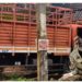 കോഴിക്കോട് – പാലക്കാട് ദേശീയപാതയിൽ അപകടങ്ങൾ തുടർക്കഥയാകുന്നു