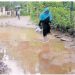 വെള്ളക്കെട്ടായി കിടക്കുന്ന മണ്ണാർക്കാട് മുക്കണ്ണം ഹരിത നഗർ റോഡ്.