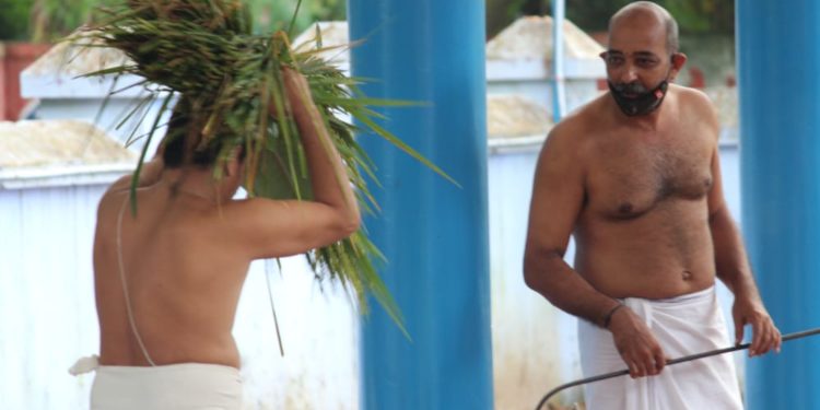 നിറപുത്തിരി ആഘോഷിച്ചു.