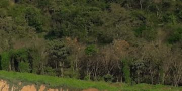 ധോണിയിൽ ക്വാറികളിൽ  സ്ഥലപരിശോധനക്ക്  ഉത്തരവ്