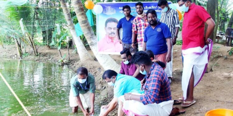 മത്സ്യകൃഷിക്കായി മത്സ്യ കുഞ്ഞ് നിക്ഷേപിച്ചു.